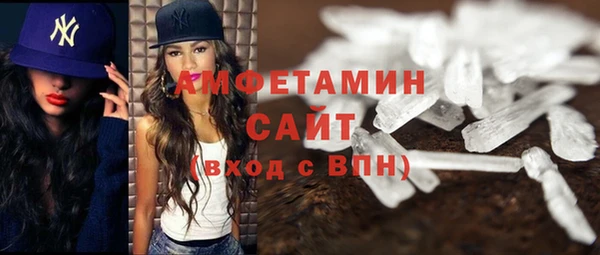 СК Ельня