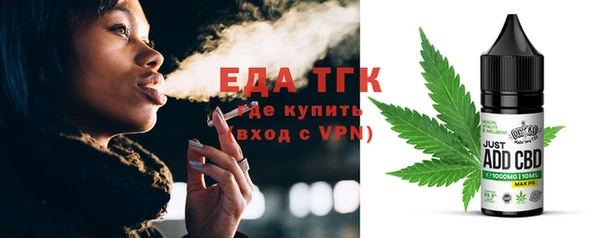 СК Ельня