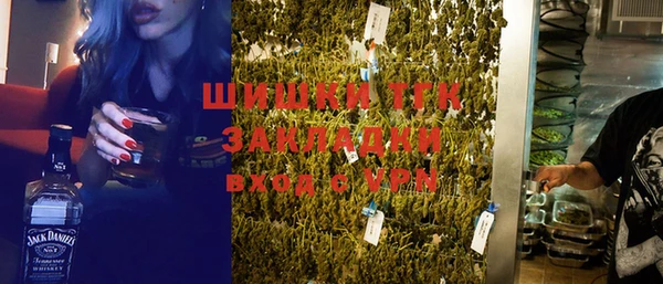 СК Ельня
