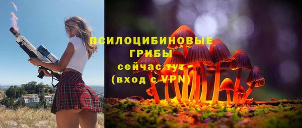 СК Ельня
