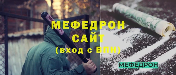 СК Ельня