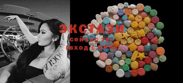 СК Ельня
