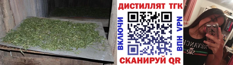 где купить   Инза  кракен как зайти  Дистиллят ТГК гашишное масло 
