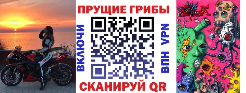 магазин    Инза  Псилоцибиновые грибы Psilocybine cubensis 